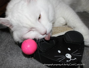 yep, there's a bit of the "nip" in that little pink ball! 